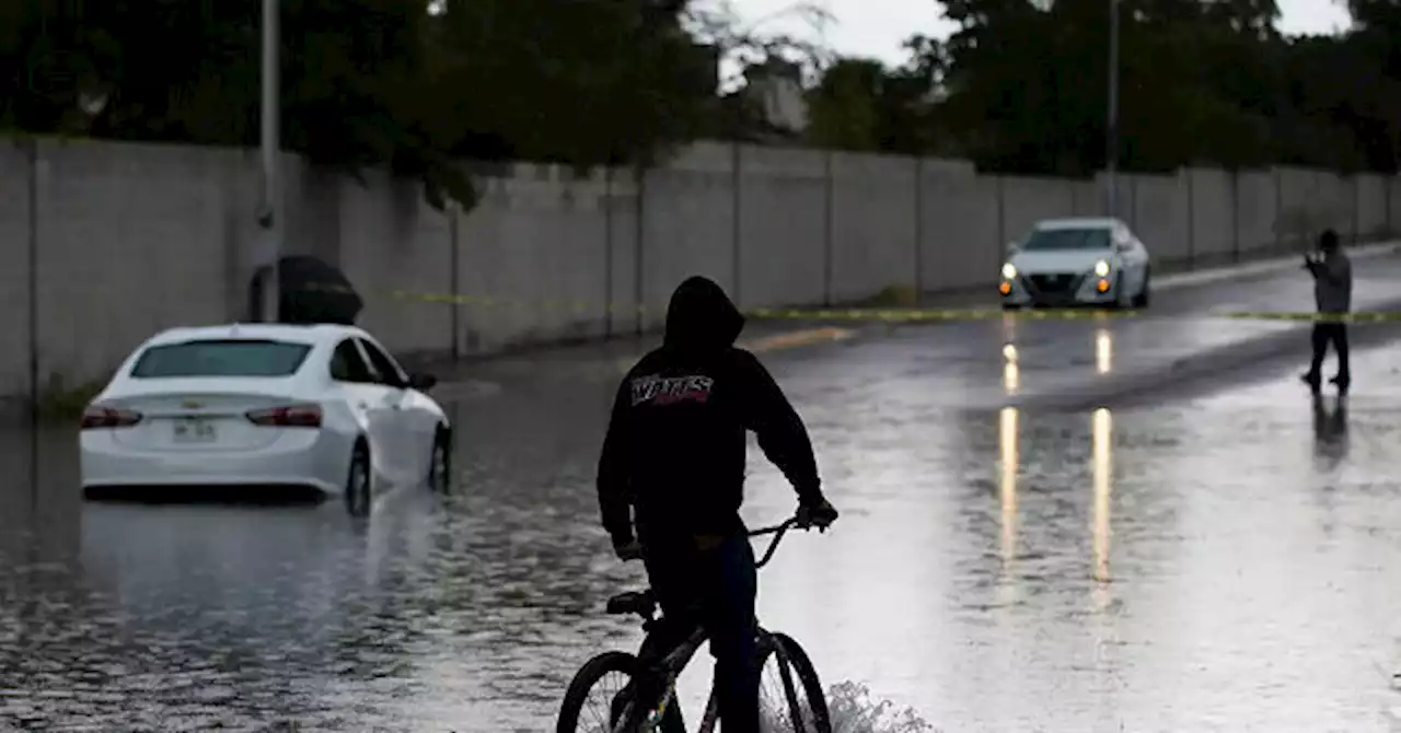 WATCH: 'Angel' Rescues Homeless Man Trapped in Las Vegas Flood