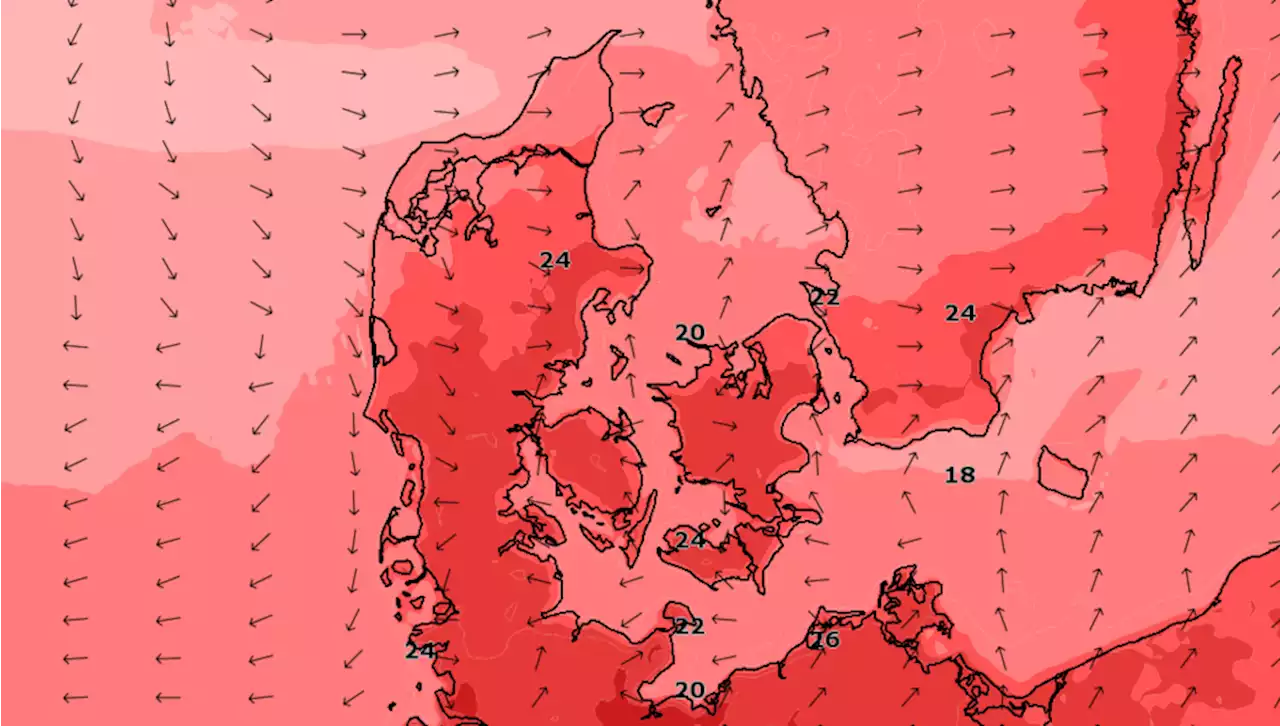 Endnu en forrygende og sommerlig dag i vente: Derfor er det så varmt netop nu