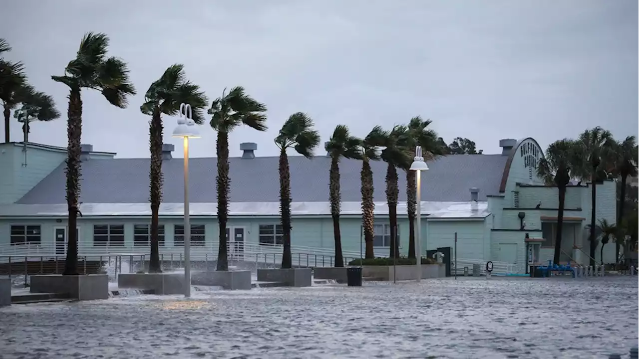 Tropical Storm Lee has potential to 'rapidly intensify' into 'dangerous' hurricane