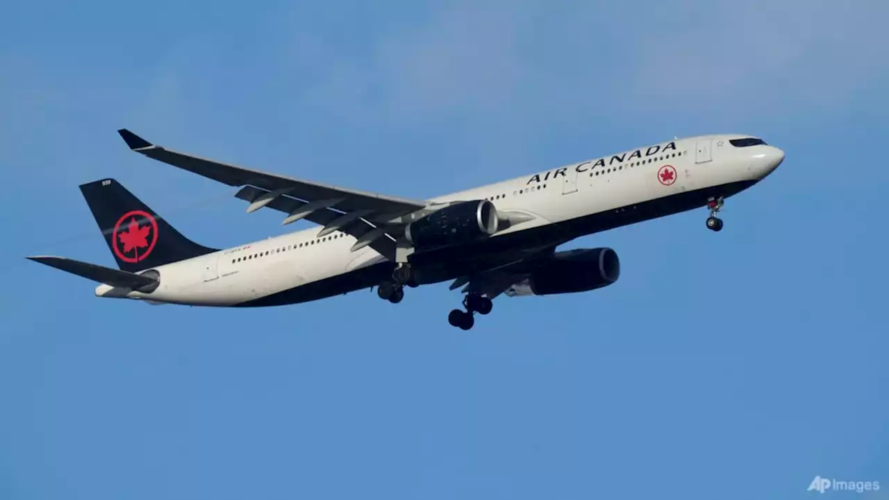 Air Canada apologises for booting passengers who complained that their seats were smeared with vomit