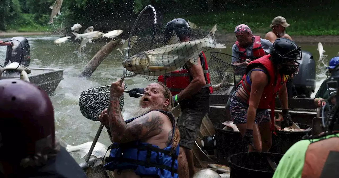 The 50 best photos in the month of August by Chicago Tribune photographers