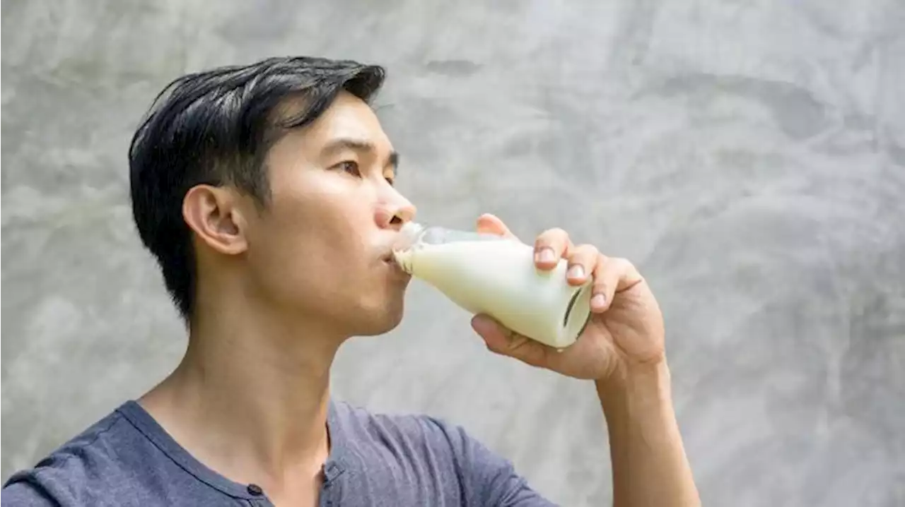 Kapan Waktu Terbaik Minum Susu untuk Diet?