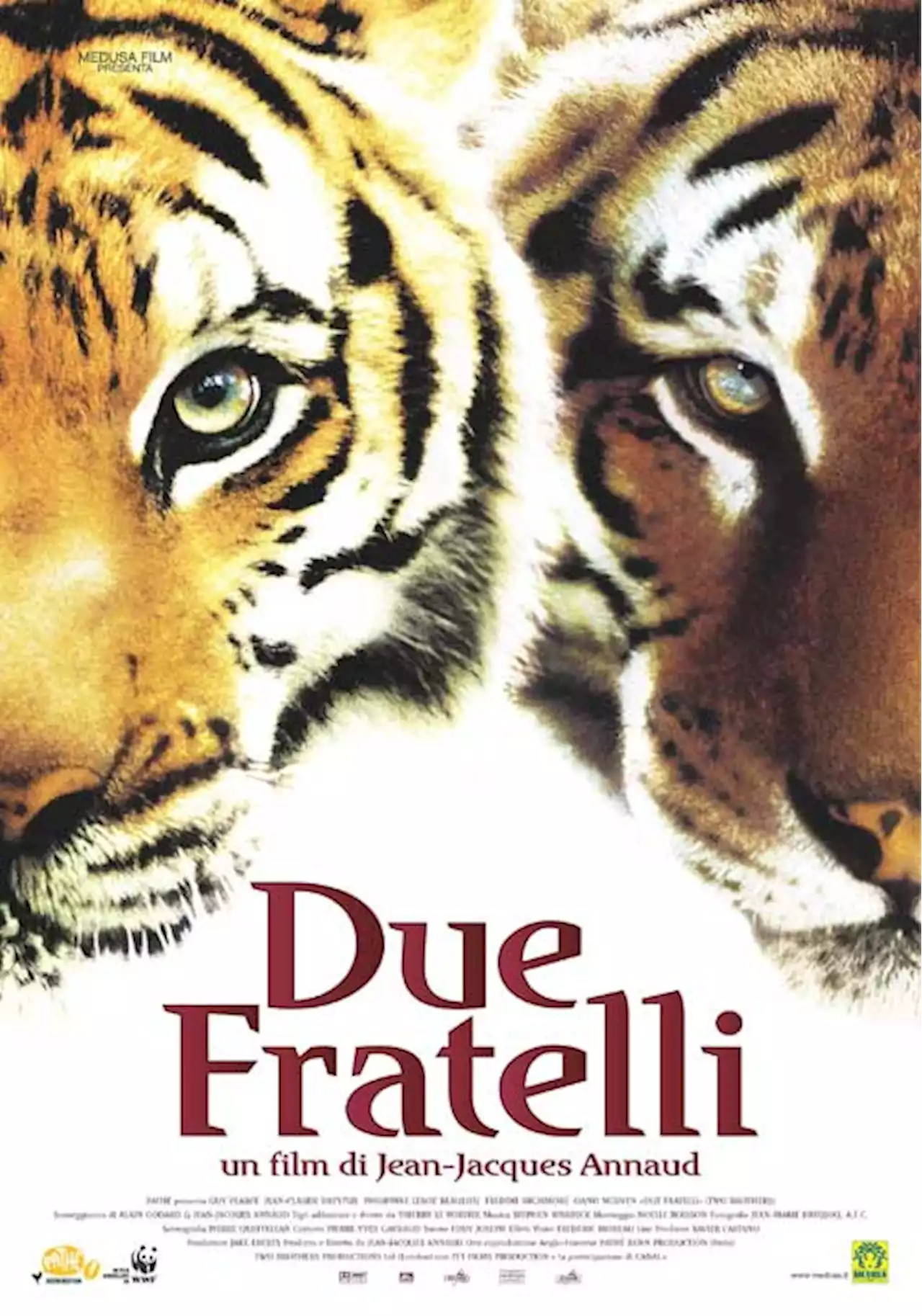 Due fratelli - Film (2004)