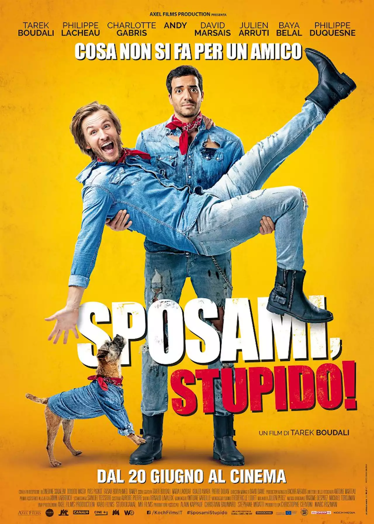 Sposami, stupido! - Film (2017)