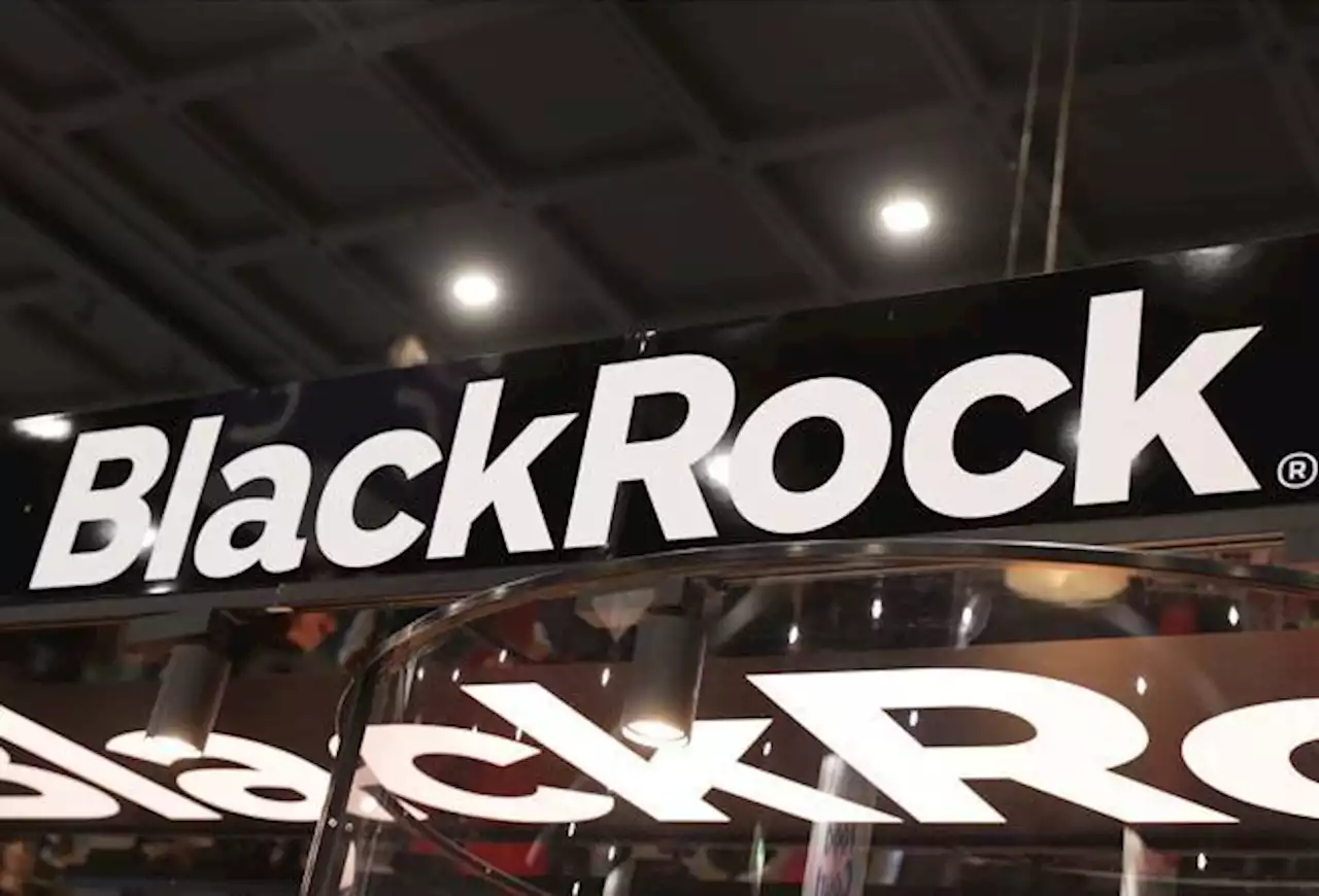 Blackrock, la maggioranza dei clienti vuole aumentare gli investimenti «green»