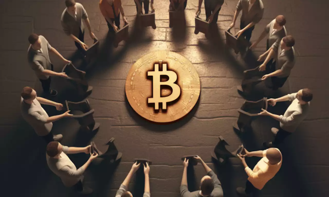 How this Bitcoin cohort is helping the king coin’s stability