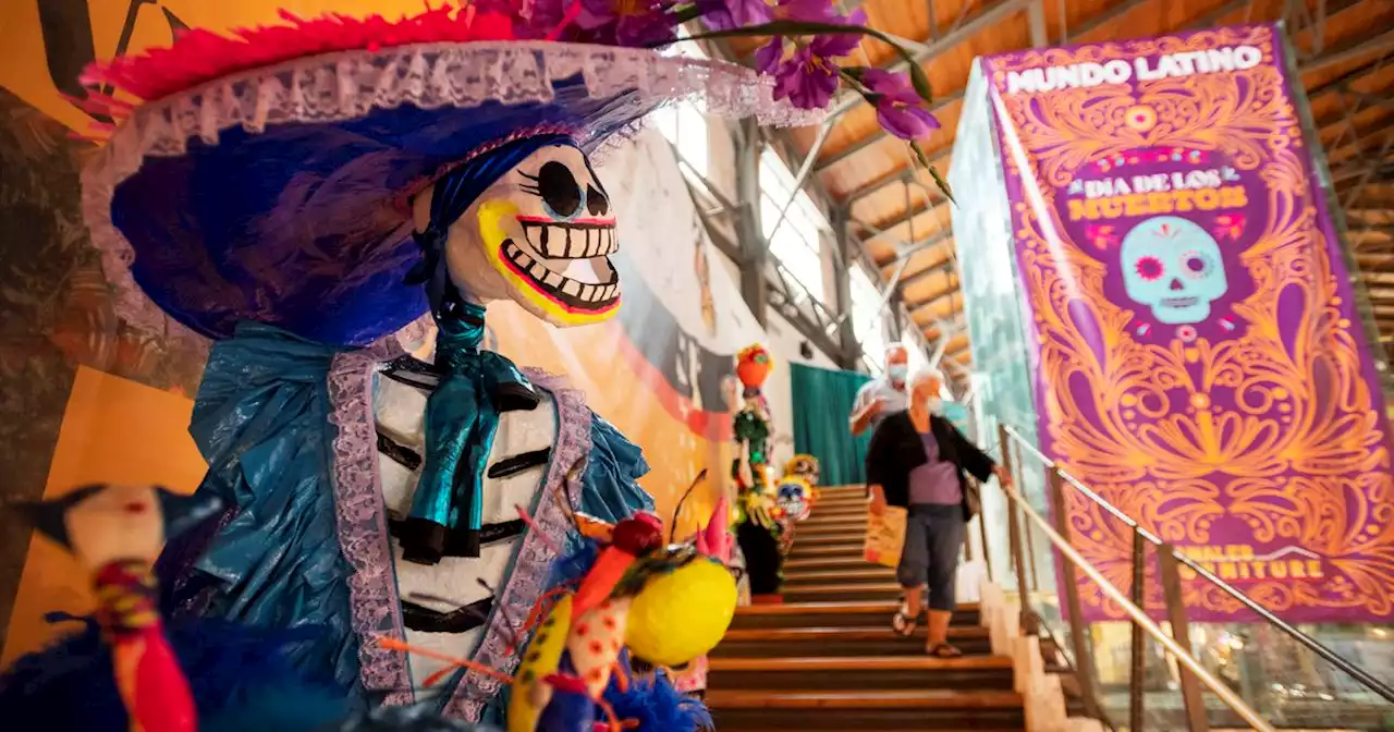 Mundo Latino presenta Alebrijes, altares y desfile de Catrinas en la Feria Estatal