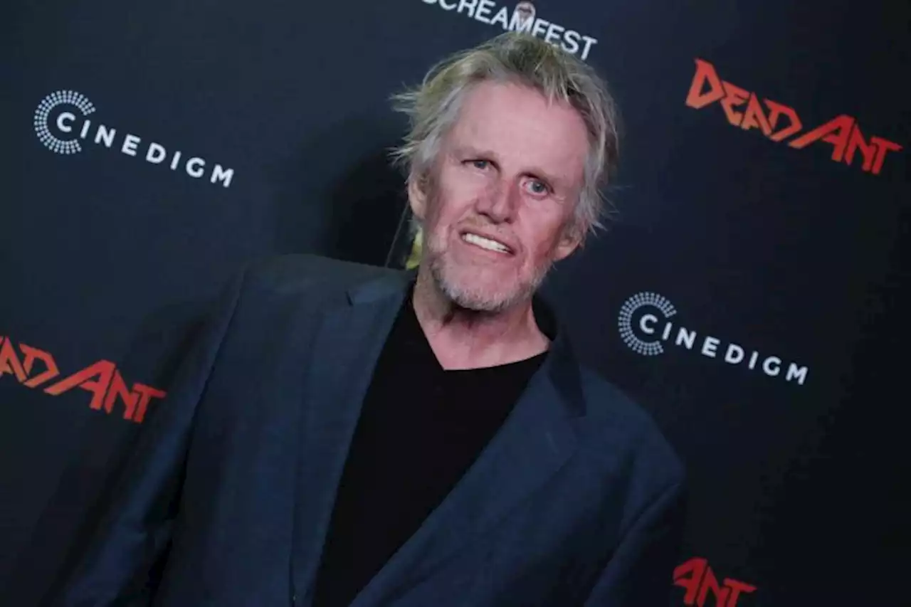 Gary Busey Allegedly Involved In California Hit-And-Run Accident