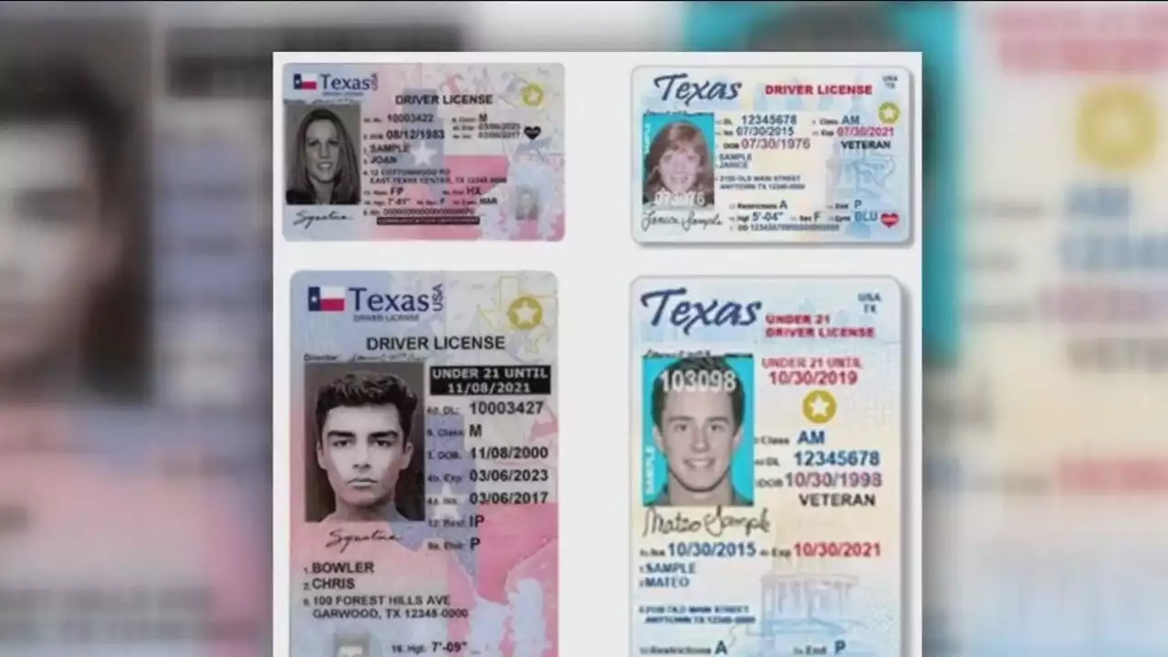 Texas driver's license appointments canceled statewide due to ongoing outage