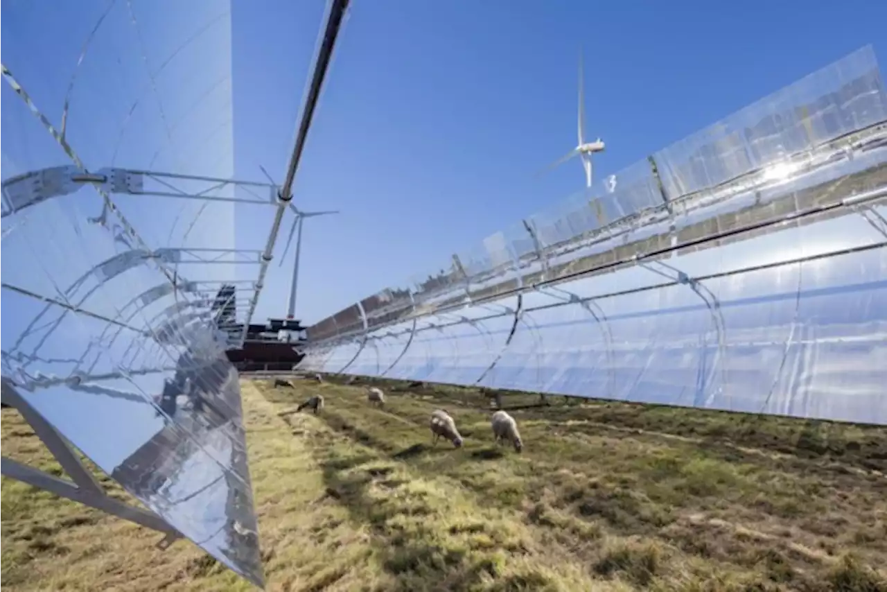 2.240 zonnespiegels leveren warmte aan droogovens van Avery Dennison: “Installatie is grootste in Europa”