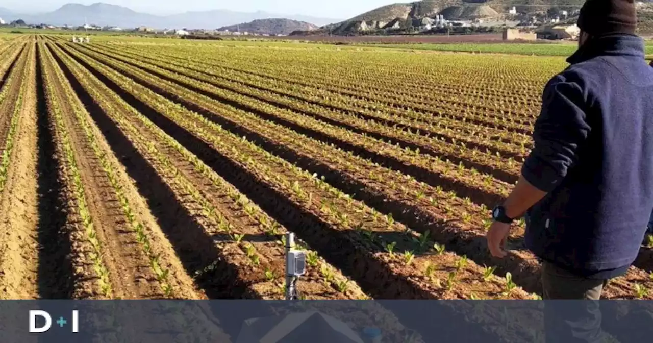 Regar justo cuando lo necesita el cultivo para ahorrar hasta el 50% del agua, mimar el planeta y reducir costes