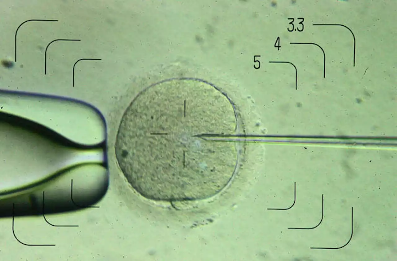 Tumori e se si sconfiggessero con un'onda anomala?