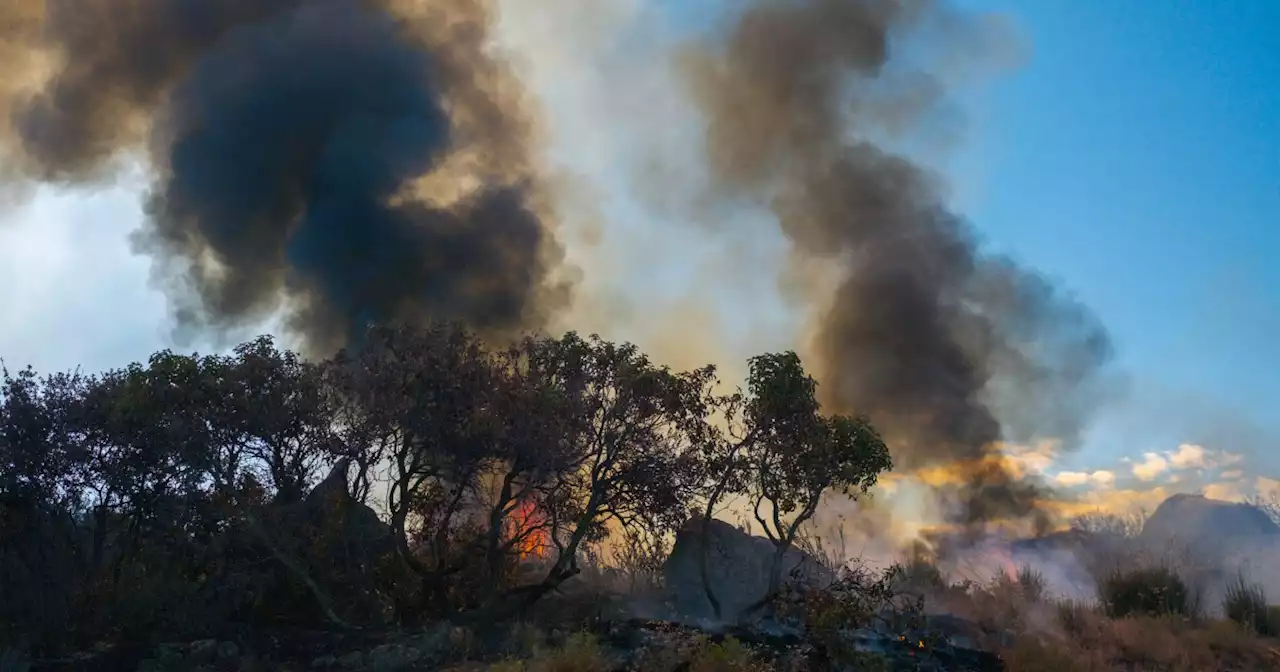 Can artificial intelligence learn to spot wildfires?