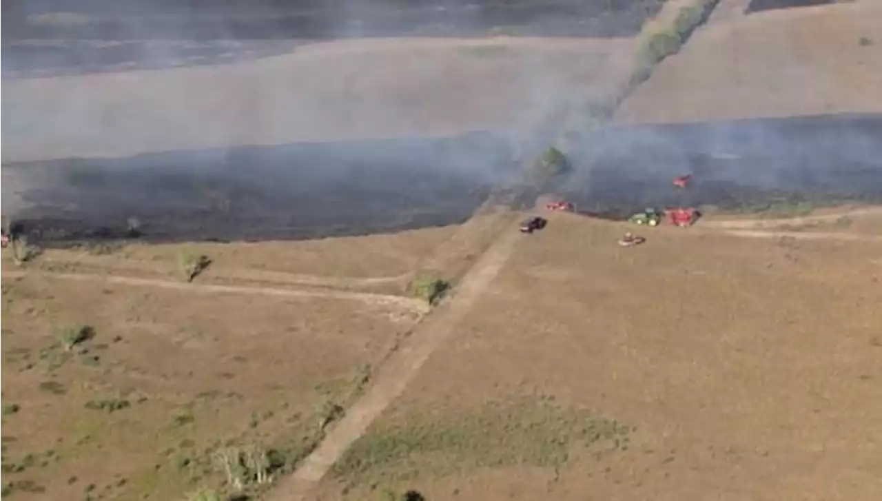 Officials battle massive grass fire in Brazoria County