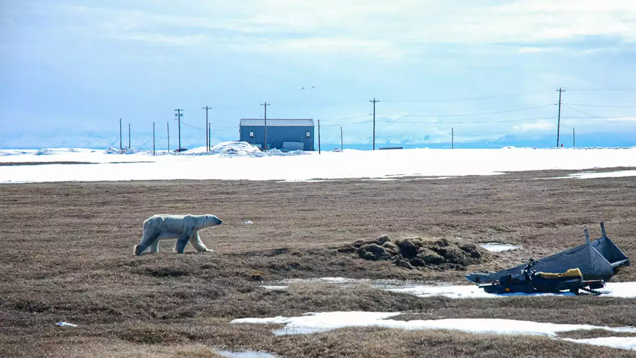 Haaland cancels leases in Alaska’s Arctic Refuge: ‘Climate change is the crisis of our lifetime’