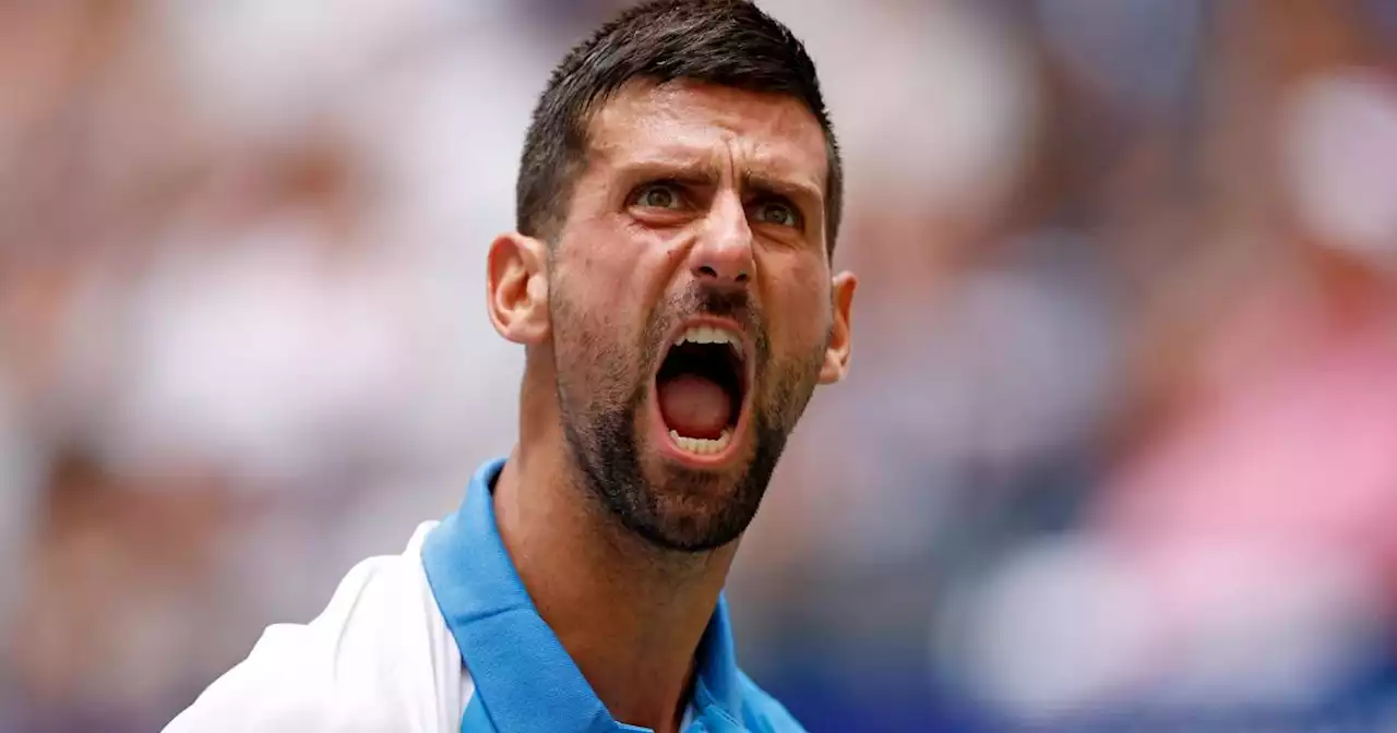 Sieg in drei Sätzen: Djokovic im Halbfinale der US-Open