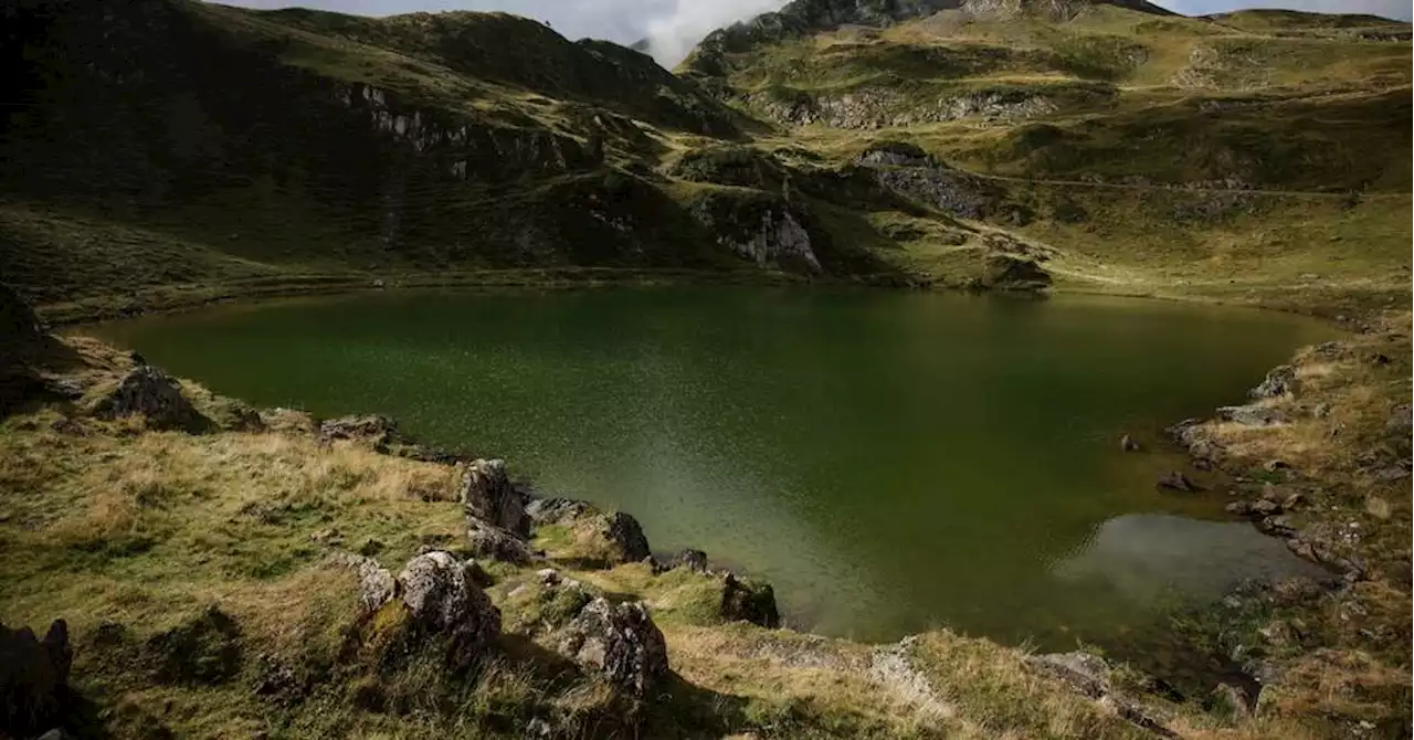 Des lacs des Pyrénées verdissent : qui est coupable de cet étrange phénomène ?