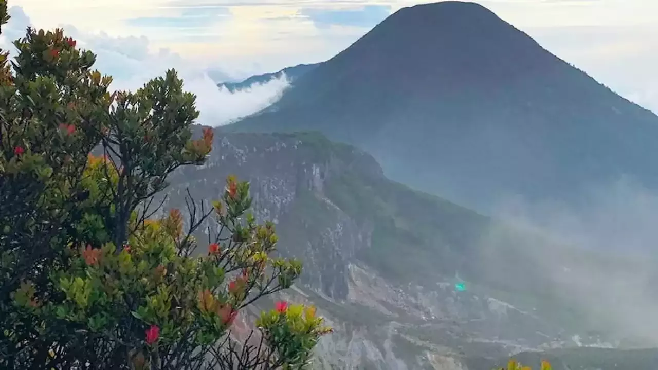 Pendakian Gunung Gede Pangrango Jalur Cibodas Kembali Dibuka Calon