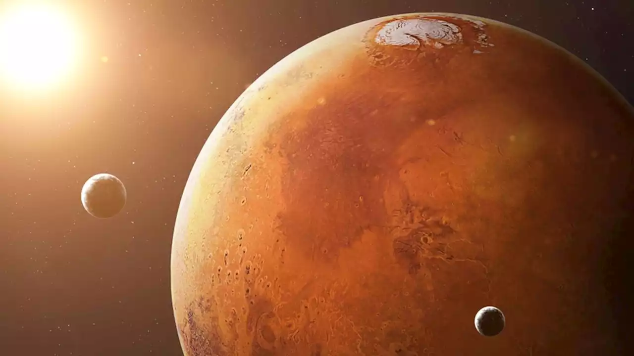 NASA may have unknowingly found and killed alien life on Mars 50 years ago, scientist claims