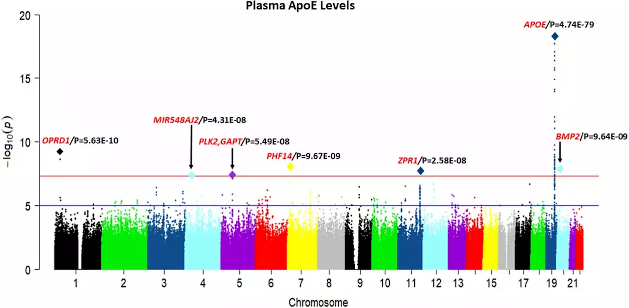 Researchers uncover new genetic traits influencing Alzheimer's risk