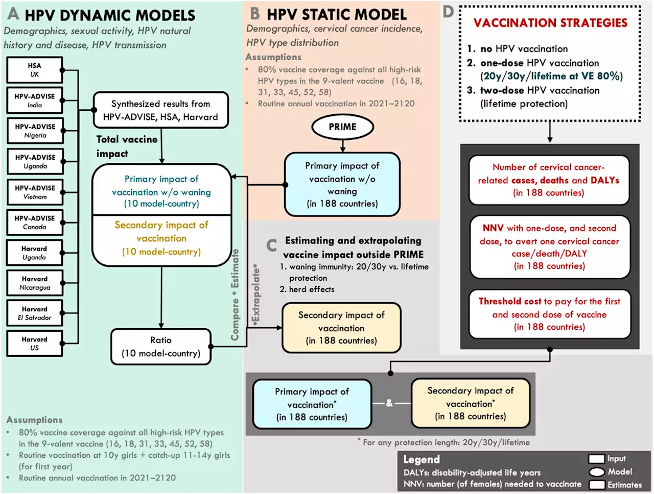 Single-dose HPV vaccine effective in preventing cervical cancer globally