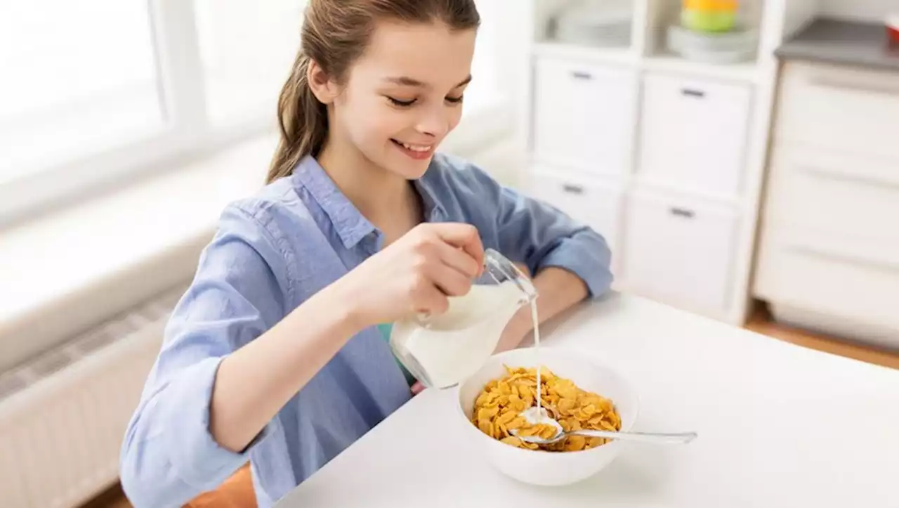 Rentrée scolaire : voici ce qu'il faut pour un petit déjeuner équilibré pour un adolescent