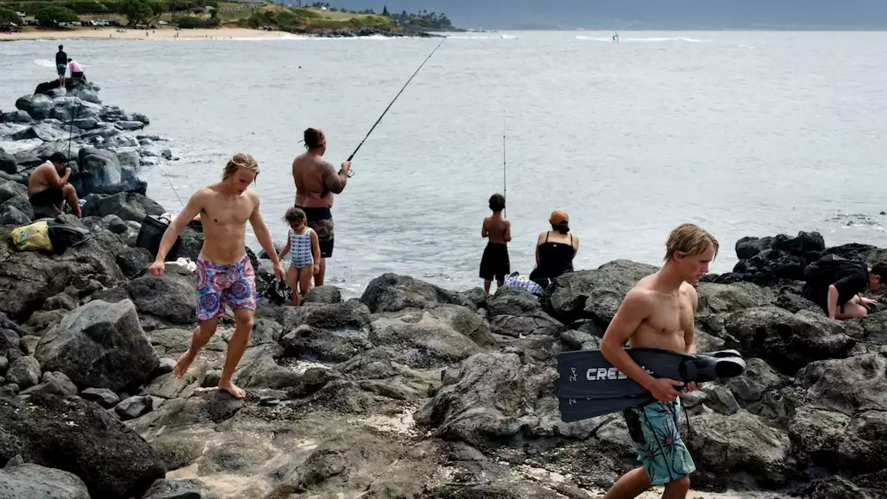 How can tourists help Maui recover? Here’s what locals say.