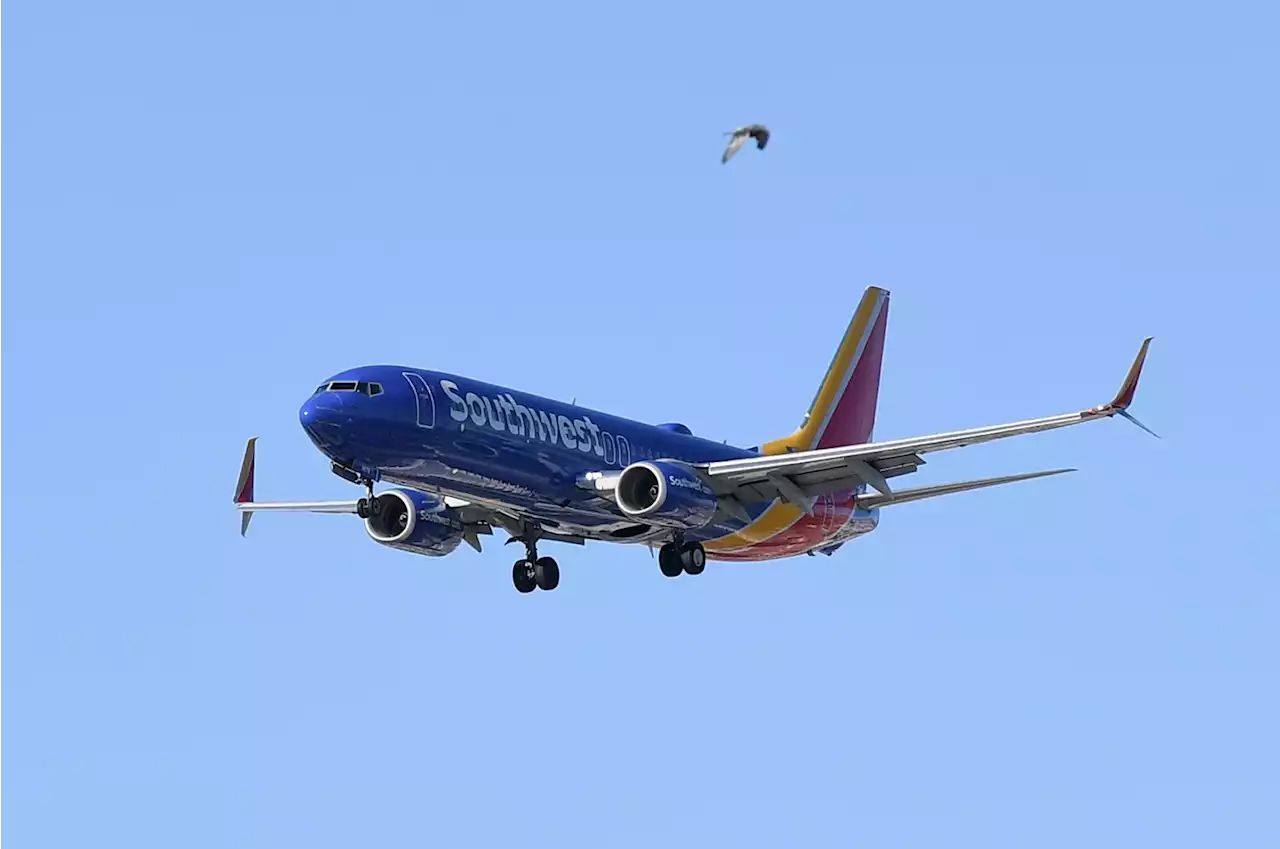 Airlines warn about spike in fuel costs, Southwest narrows revenue outlook