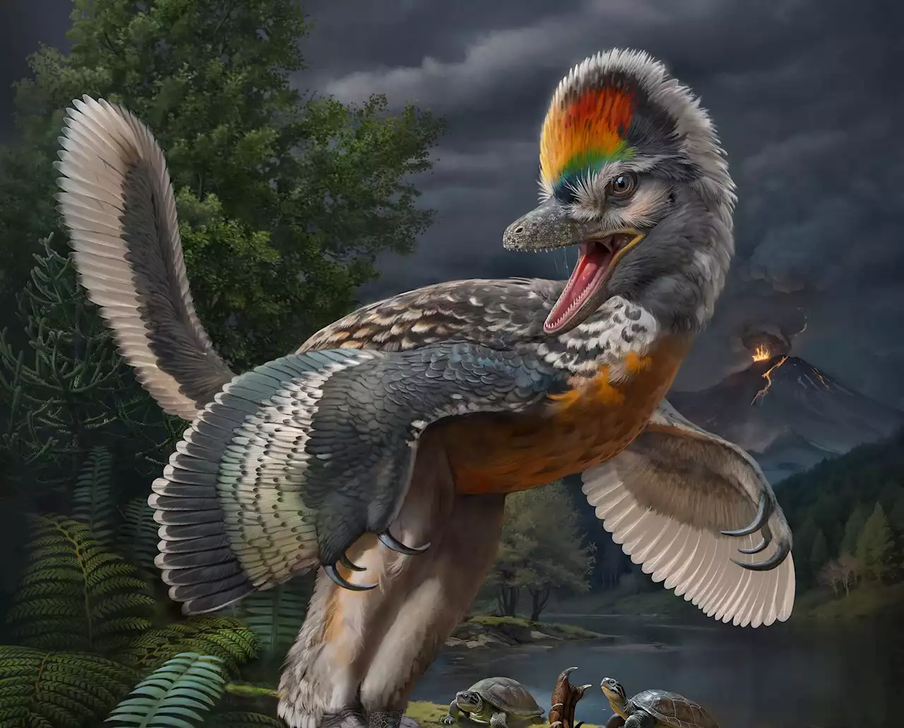 Dinosaur-like fossil discovered, providing clues into evolution of birds