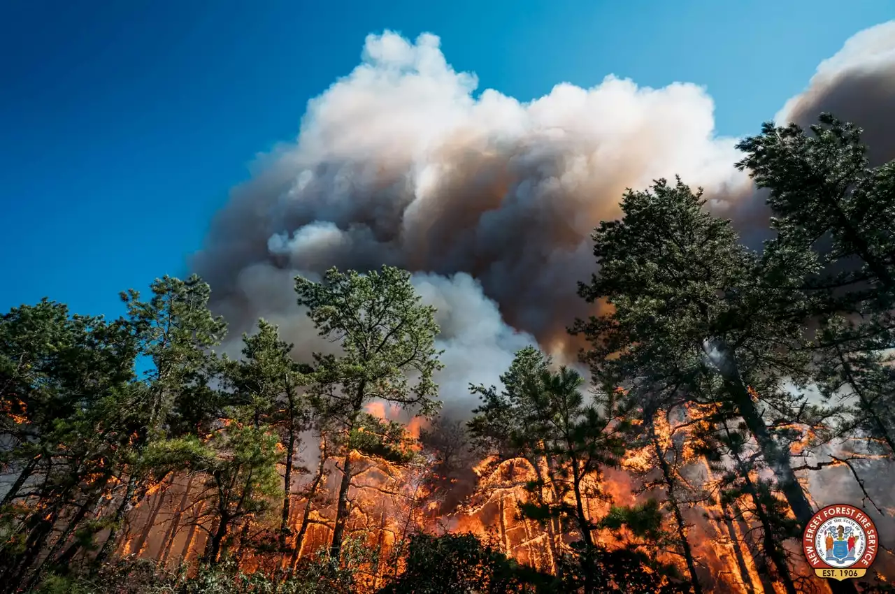 Plane crash started N.J. wildfire that burned 810 acres, officials confirm