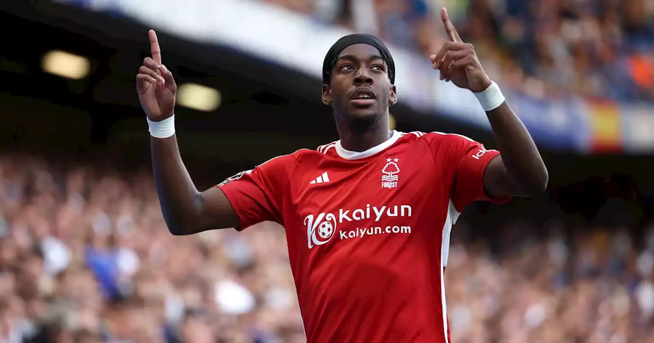 Nottingham Forest learning Brighton transfer lesson to show critics got it wrong