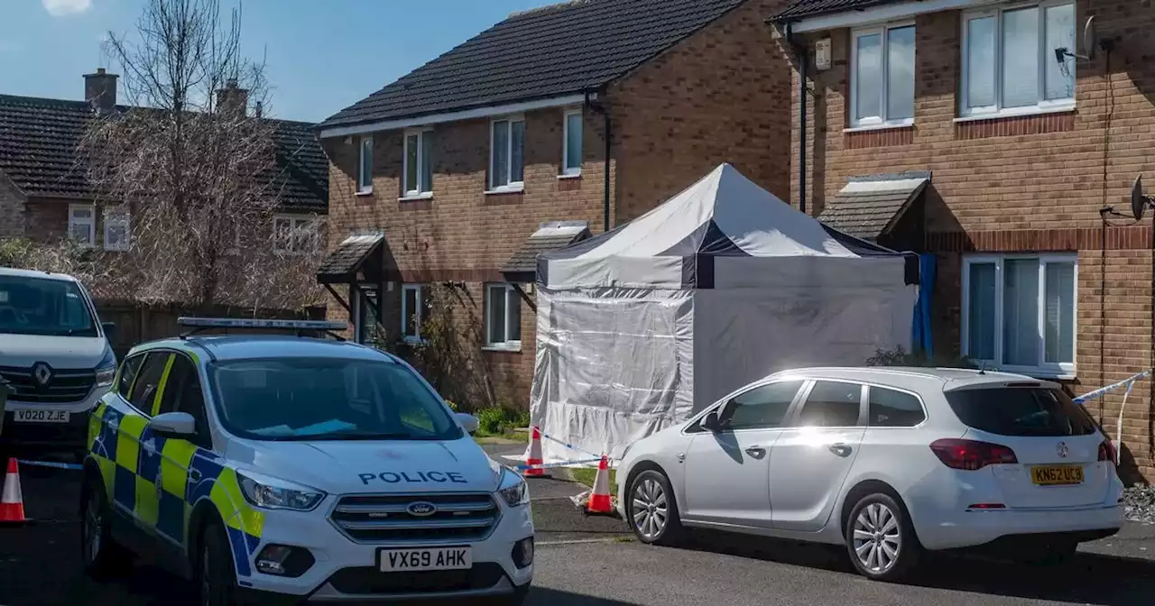 Teen who stabbed his own mum to death had 'urge to kill'