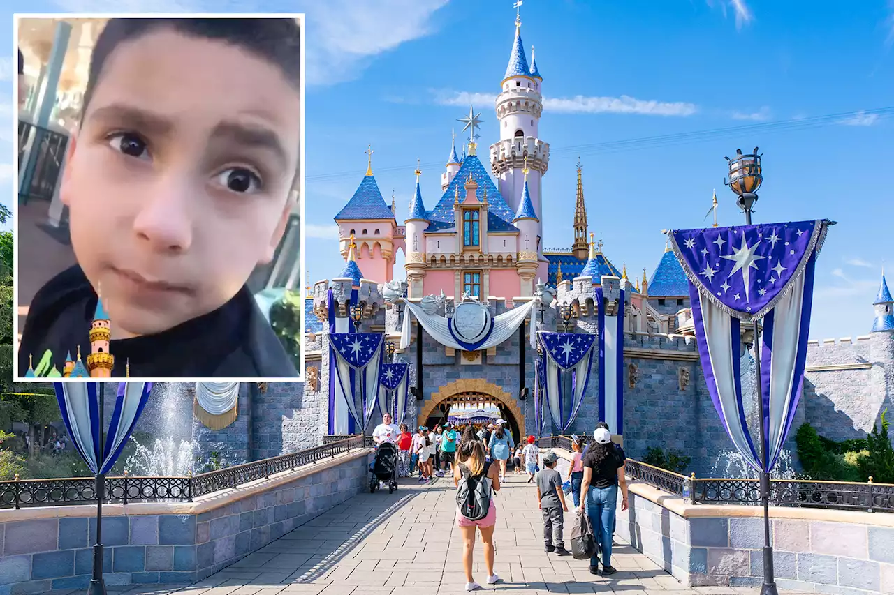 Mom films her son absolutely not having it at Disneyland: ‘I hate this place’