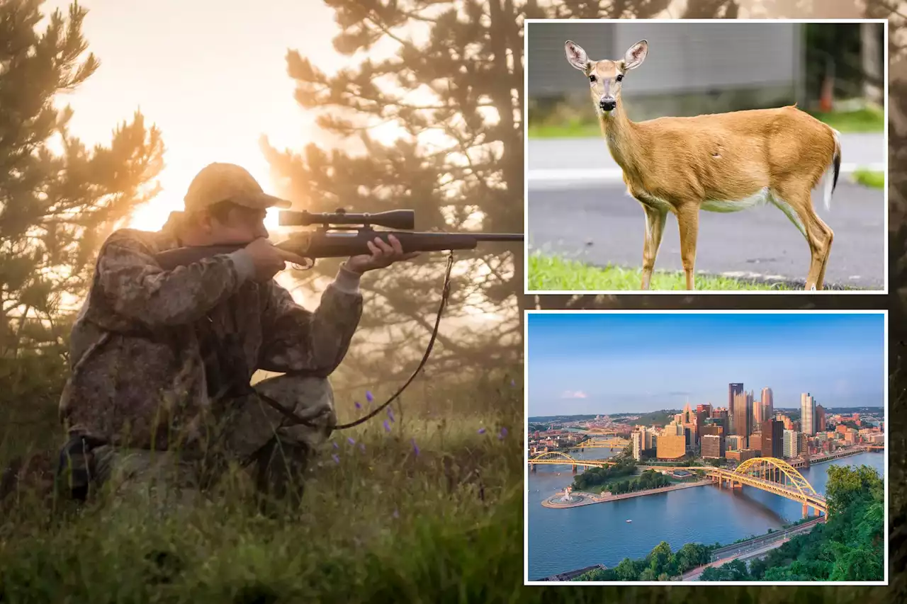 Pittsburgh will draft 30 archers to hunt overbearing deer population