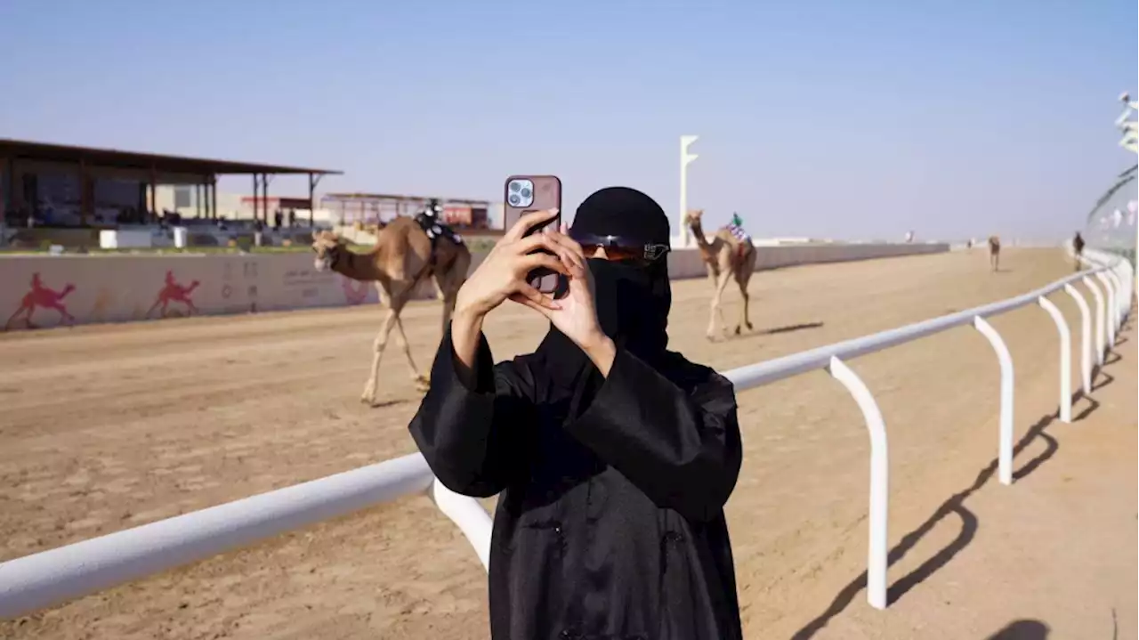 200 مليون.. القيمة السوقية لمطايا أشواط ختام المهرجان