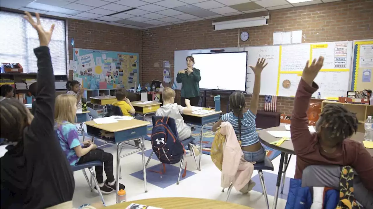 Participate Learning: de qué se trata el programa para docentes argentinos impulsado por Estados Unidos