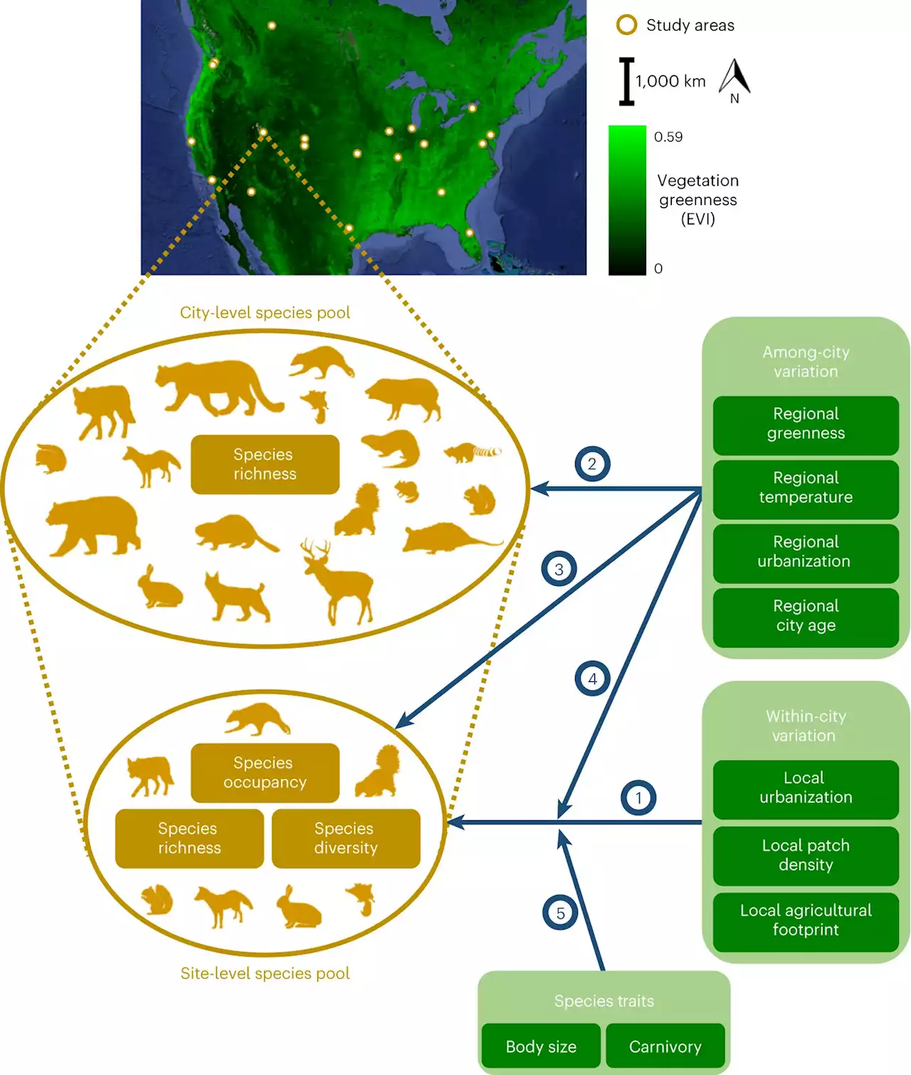 Finding the balance between urbanization, climate change and wildlife conservation