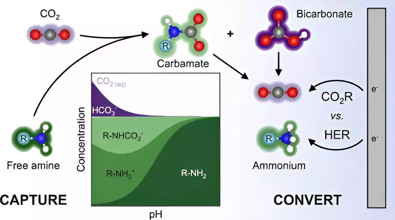 Study suggests energy-efficient route to capturing and converting carbon dioxide