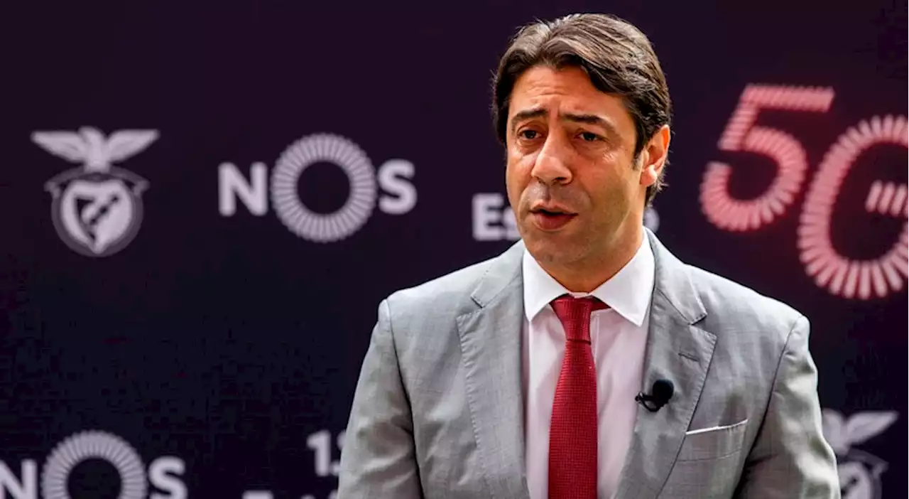 Rui Costa admite 'situação sensível' pela perda da titularidade de Vlachodimos