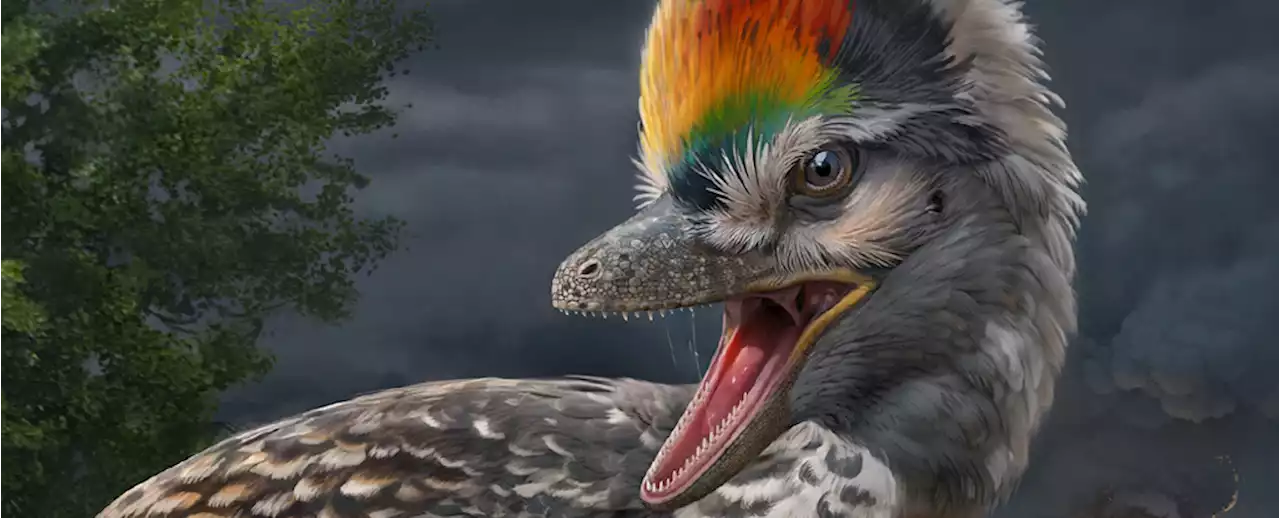 Paleontologists May Have Found A Missing Branch Between Dinosaurs And Birds