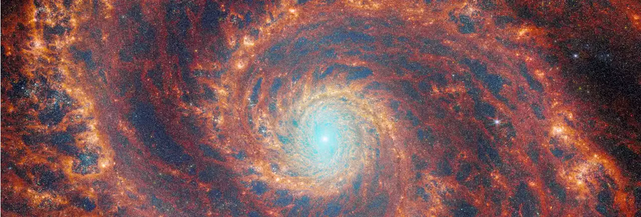 Project FEAST: Webb Space Telescope Captures a Cosmic Whirlpool