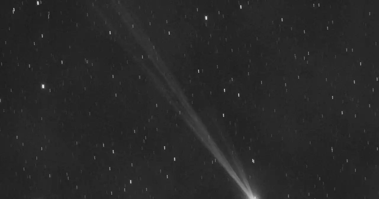 Across the Northern Hemisphere, now's the time to catch a new comet before it vanishes for 400 years