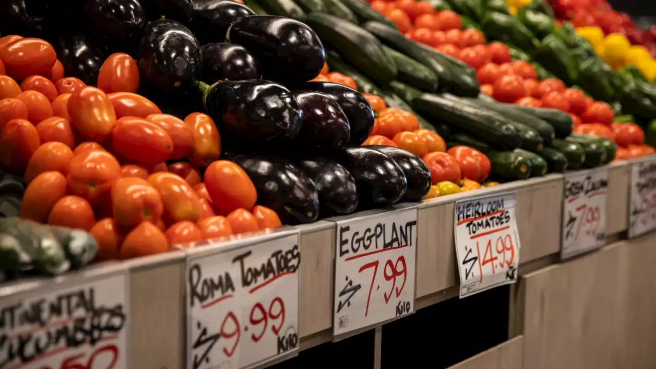 'Heartbreaking reality': Food insecurity in Sydney at all-time high as funding boost announced