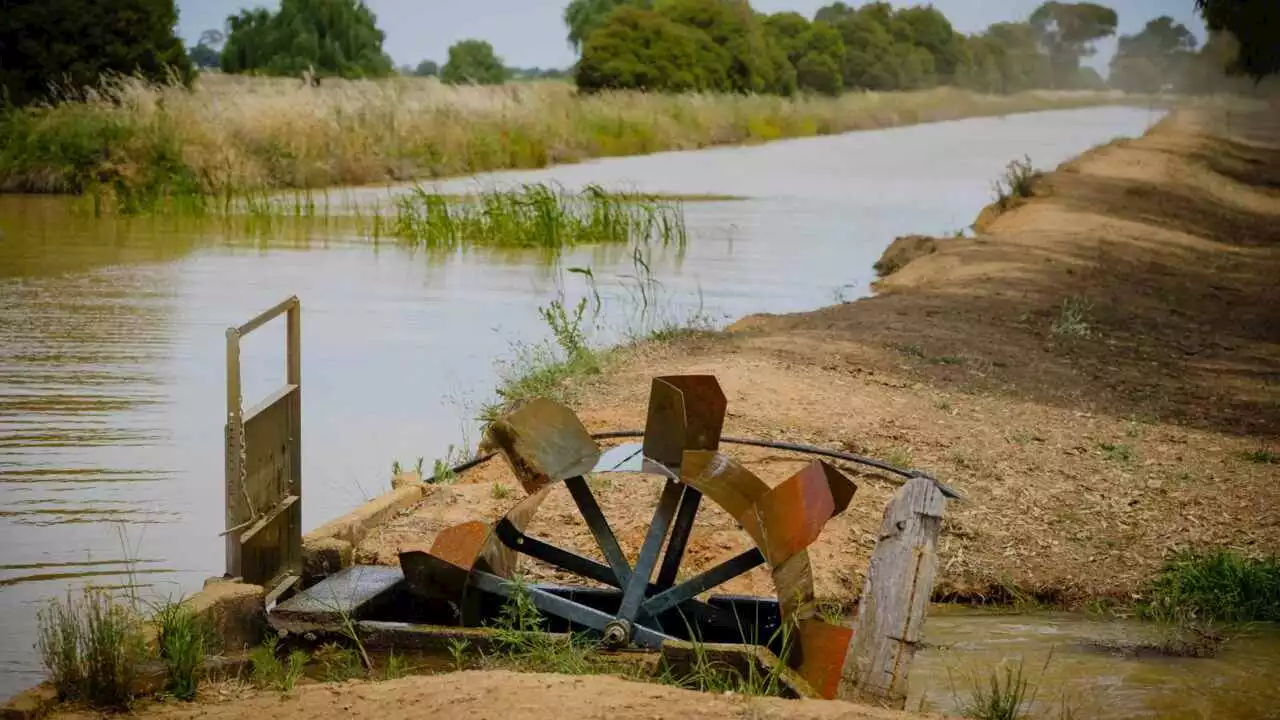 No ‘guarantees’: Greens MP opposes government’s Murray–Darling Basin plan