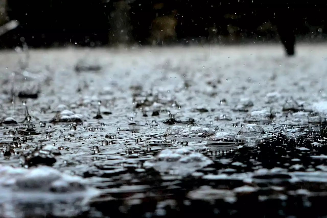 Up to 50 mm of rainfall possible north of the Sault today