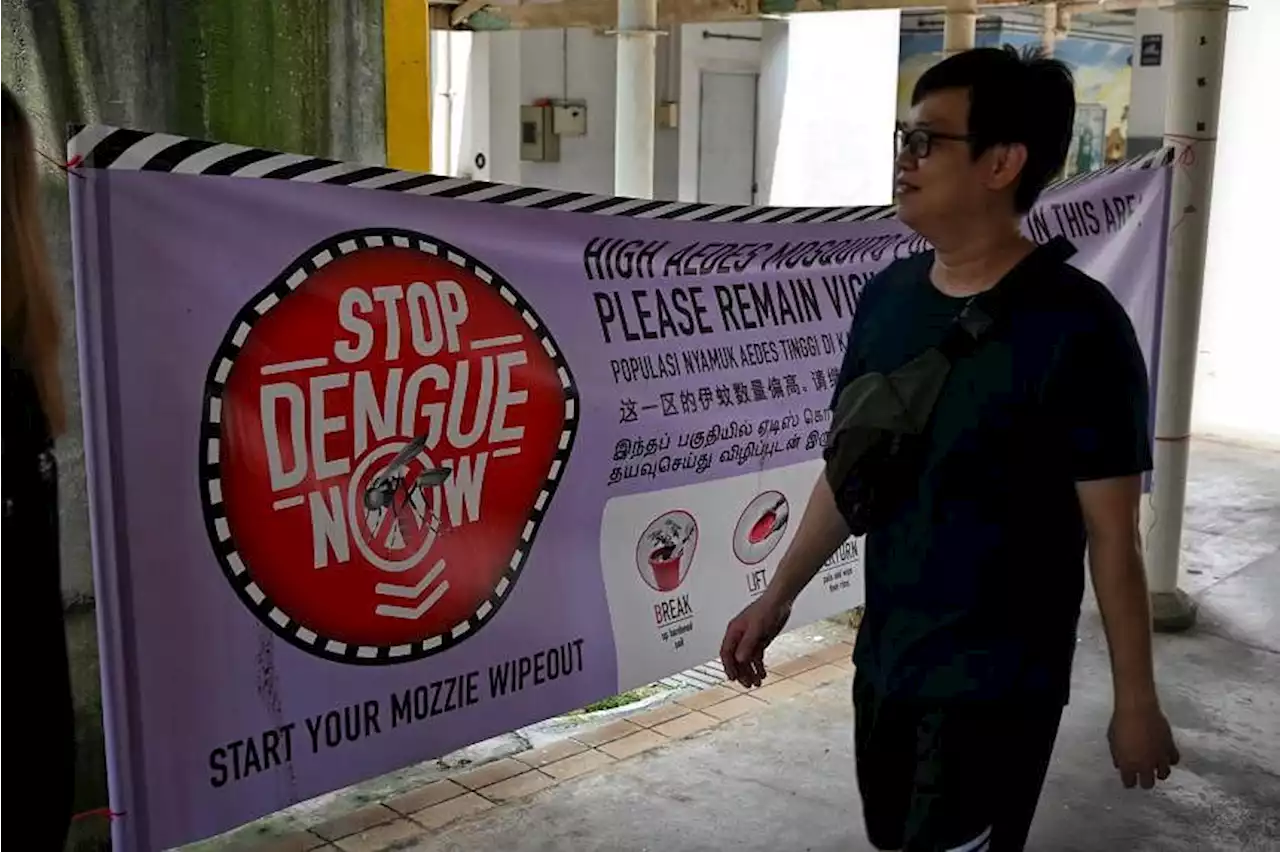 Resurgence of previously dominant dengue virus strain could lead to surge in cases: NEA