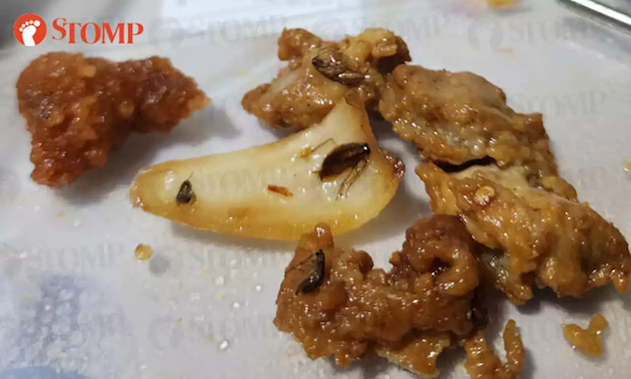 Diner sees cockroach in rice from Woodlands restaurant -- then finds 4 more after digging