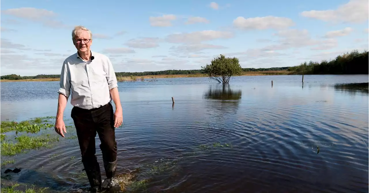 Kritiken: Översvämningarna hade kunnat stoppas