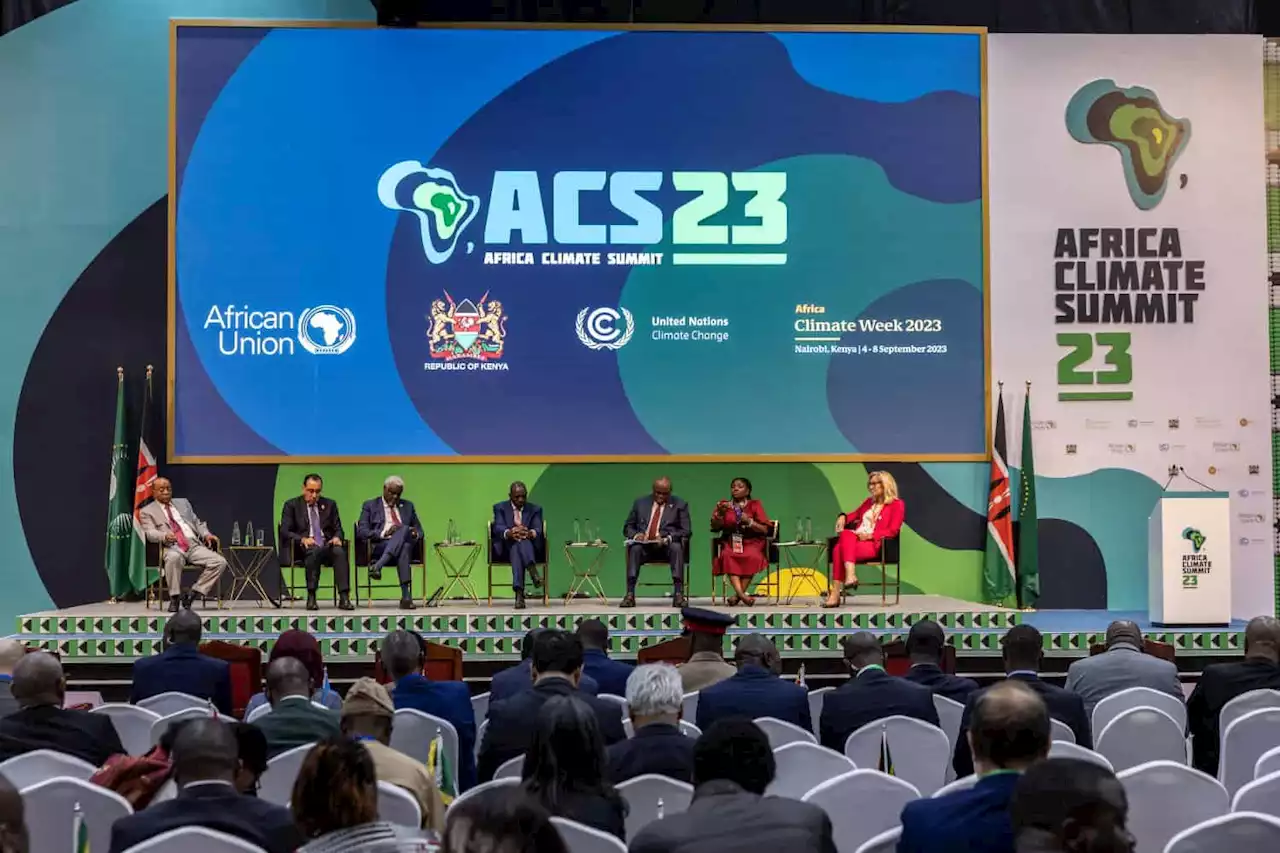 African leaders seek united front to press green growth goals