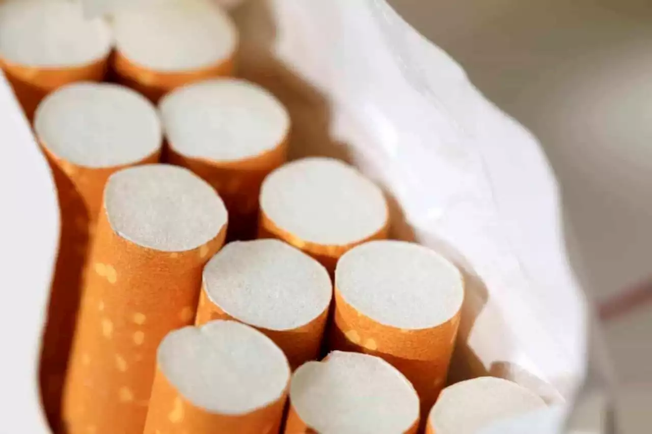 Foreign nationals nabbed with R1.5M worth of illicit cigarettes in Limpopo